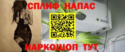 дмт Можга