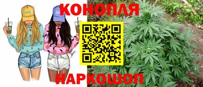 дмт Можга
