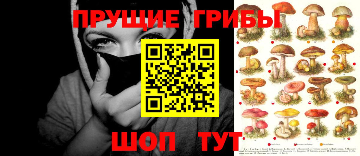 Галлюциногенные грибы ЛСД Сланцы
