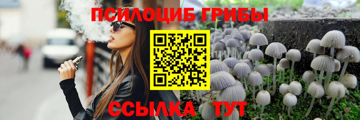 Галлюциногенные грибы Magic Shrooms  Вход с VPN  Псилоцибиновые грибы мухоморы  Сланцы 