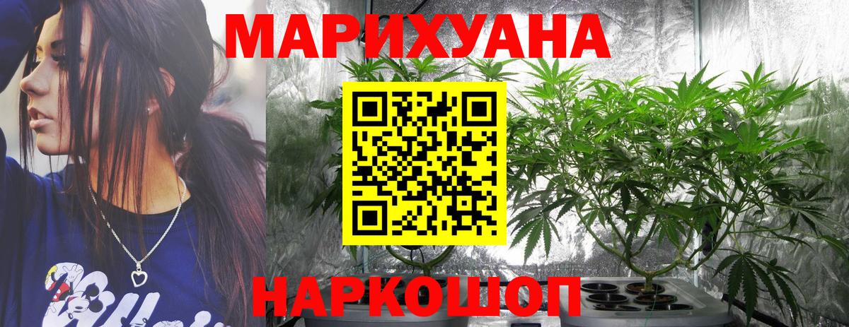 Бошки Шишки индика  Вход с VPN  Канабис White Widow  Сланцы 